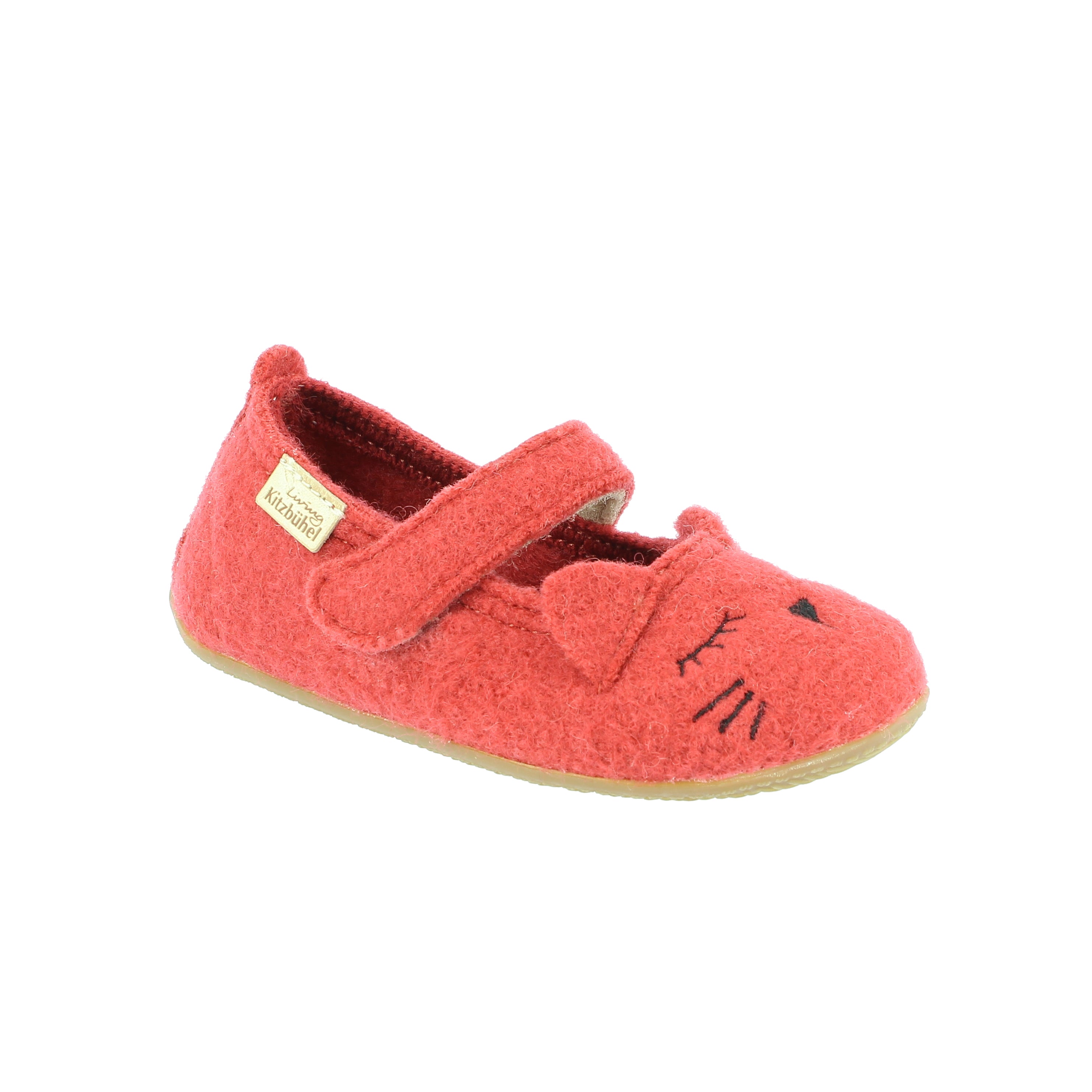 Schlafendes Kätzchen