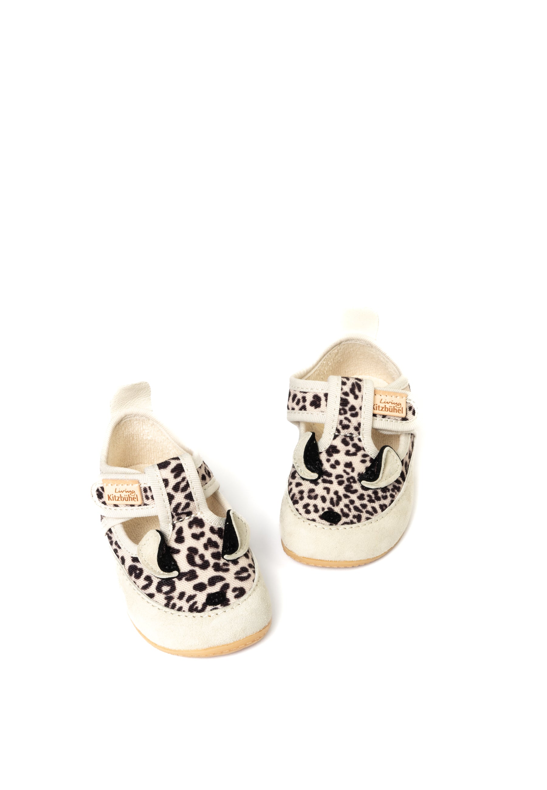 Lotte Leopard