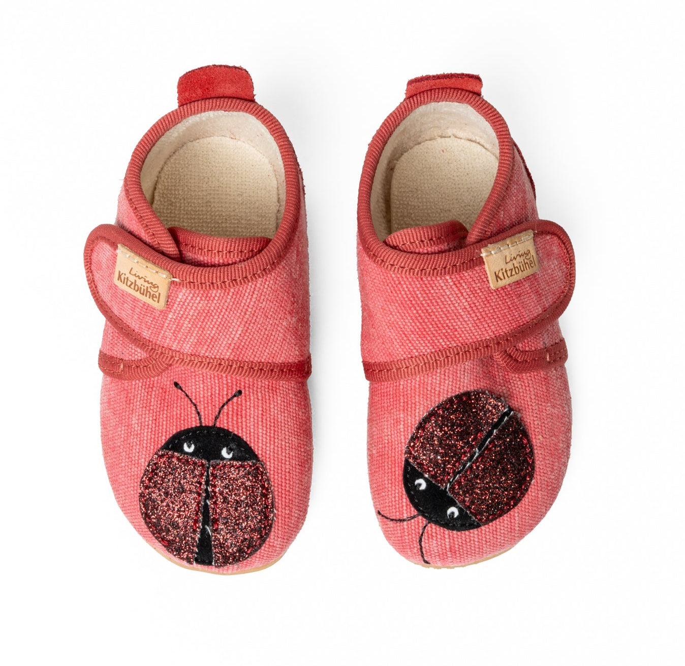 Mary Ladybug