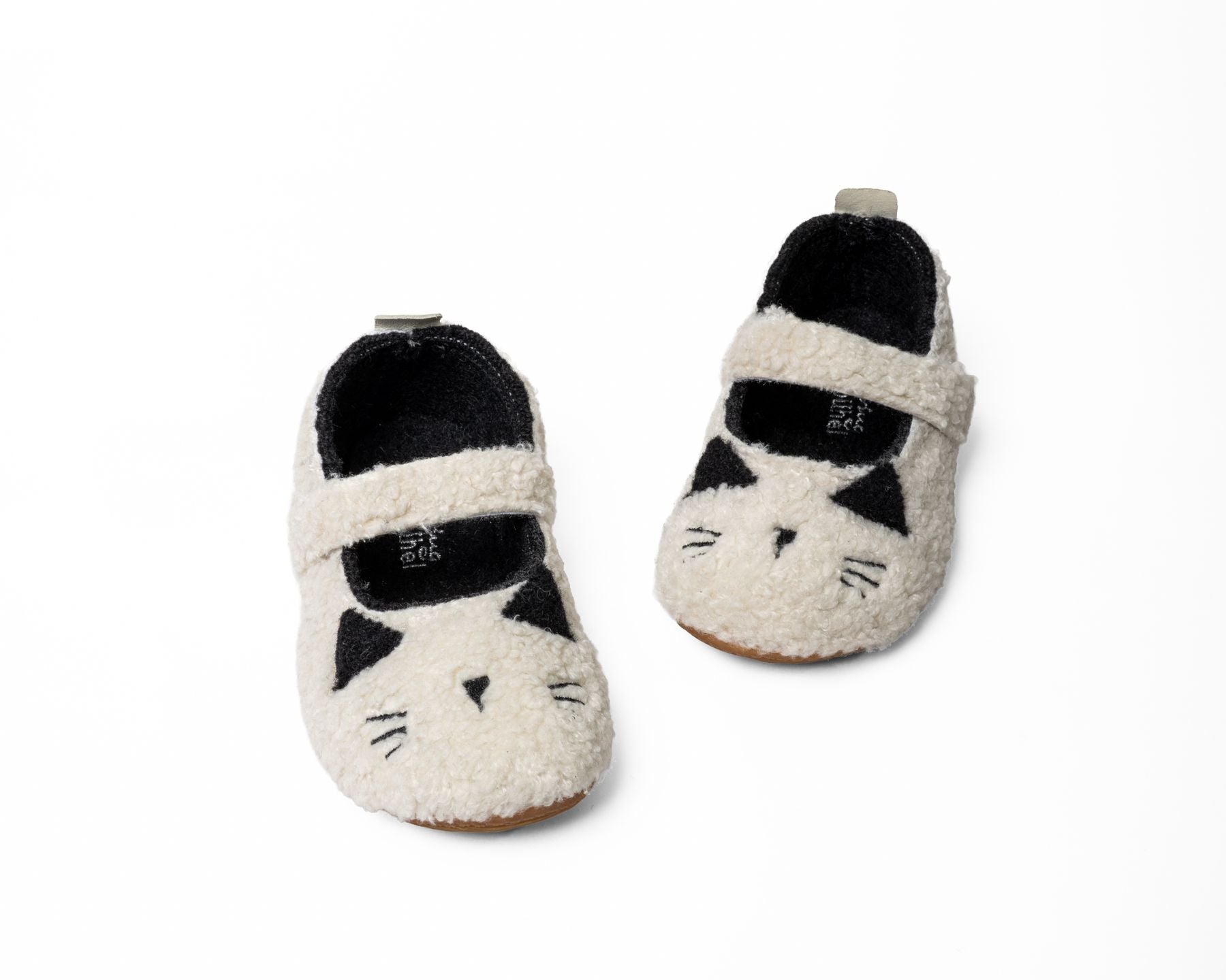 Schlafendes Kätzchen