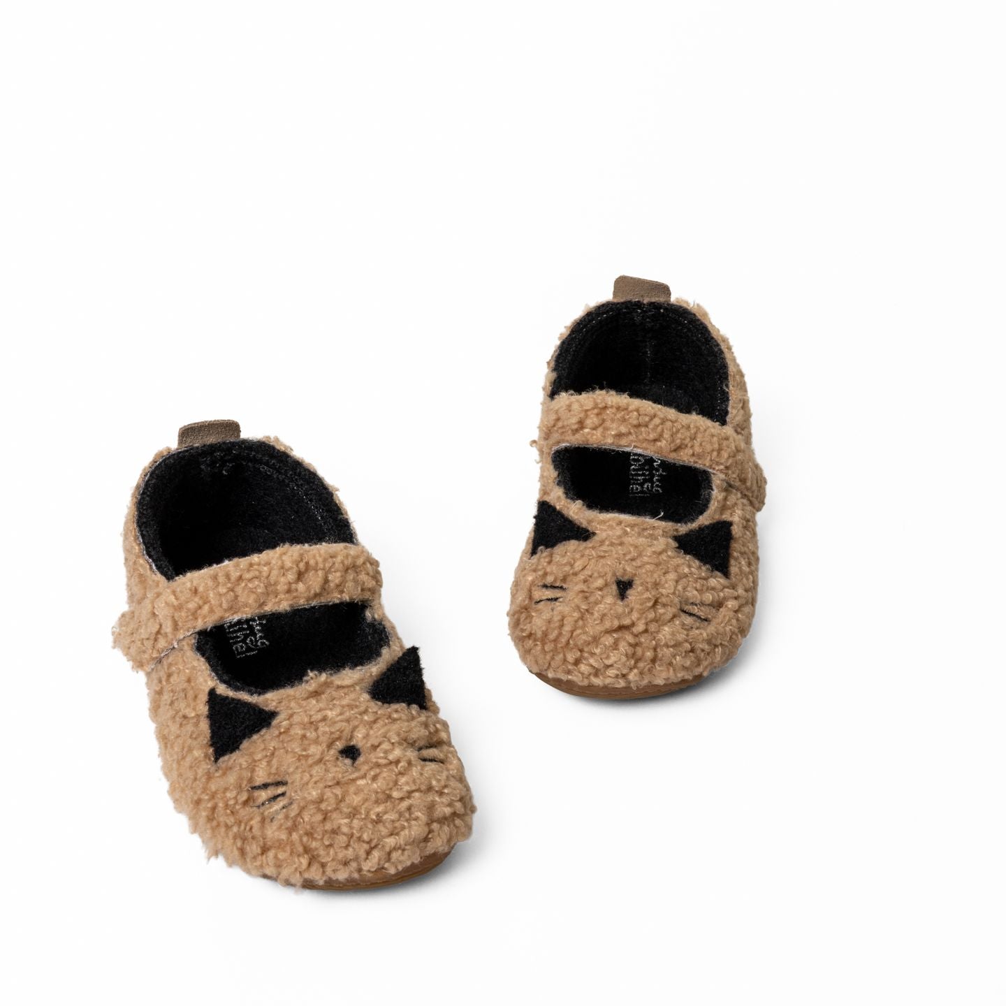 Schlafendes Kätzchen