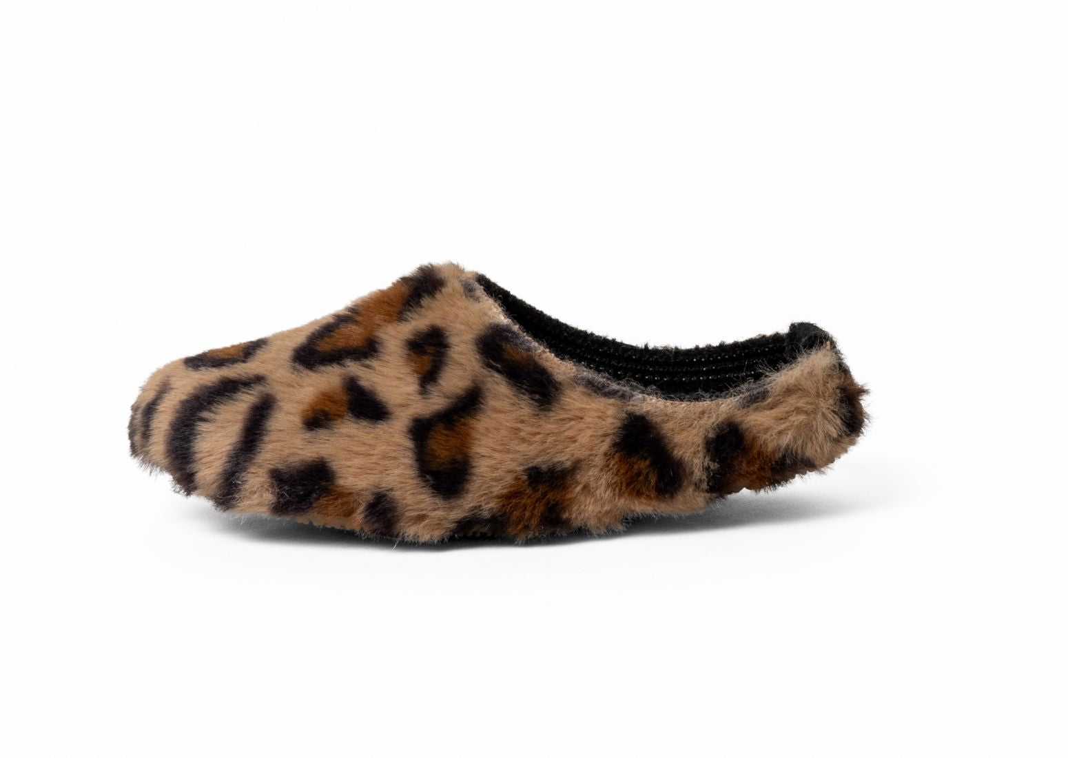 Leona Leopard