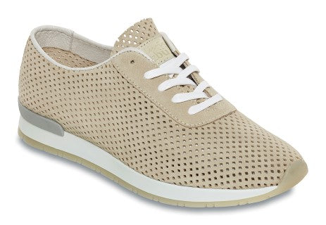 Sneaker geschnürt mit