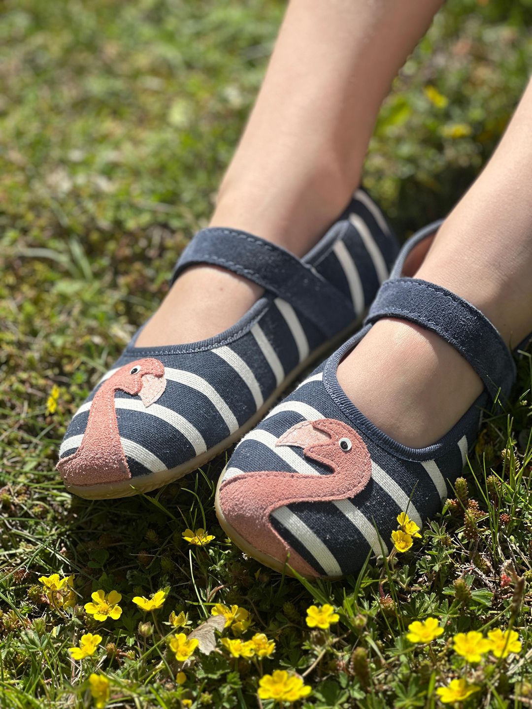 Funny Flamingos