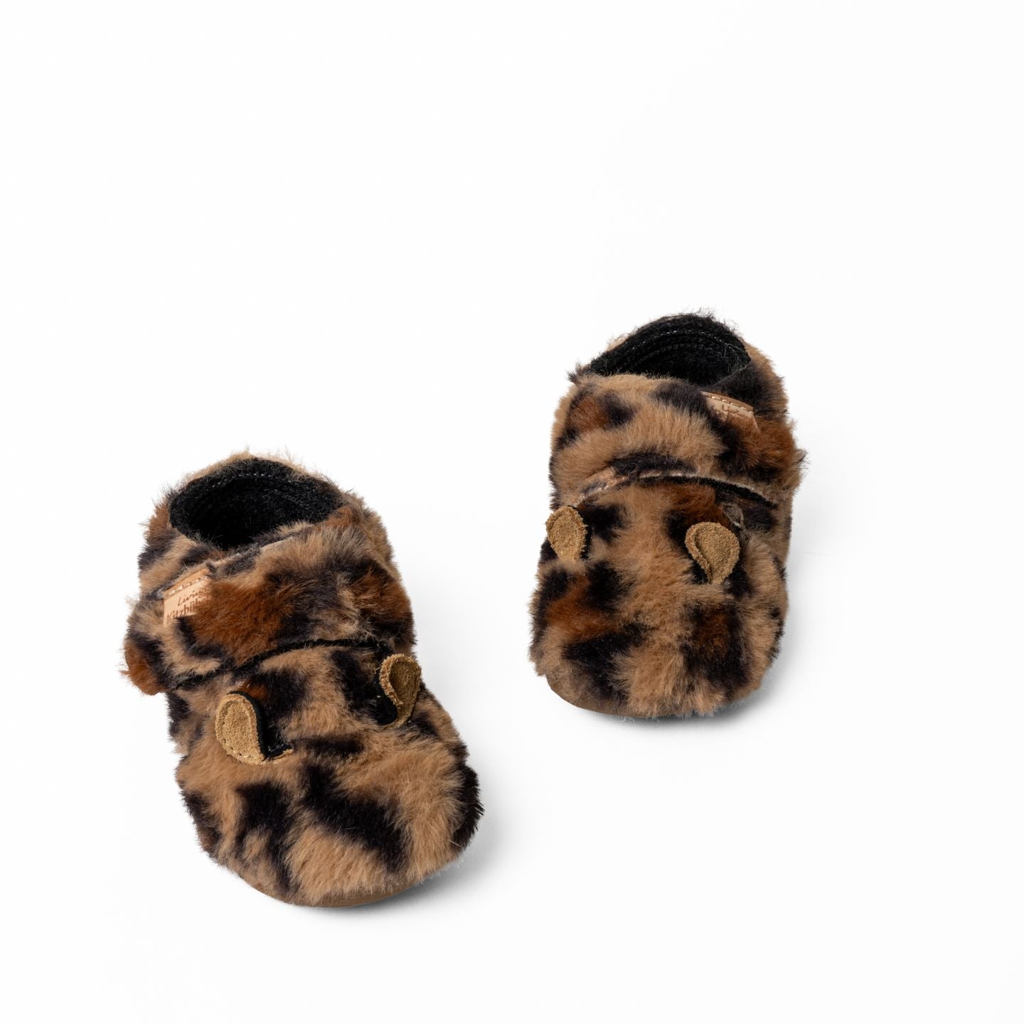 Lotte Leopard