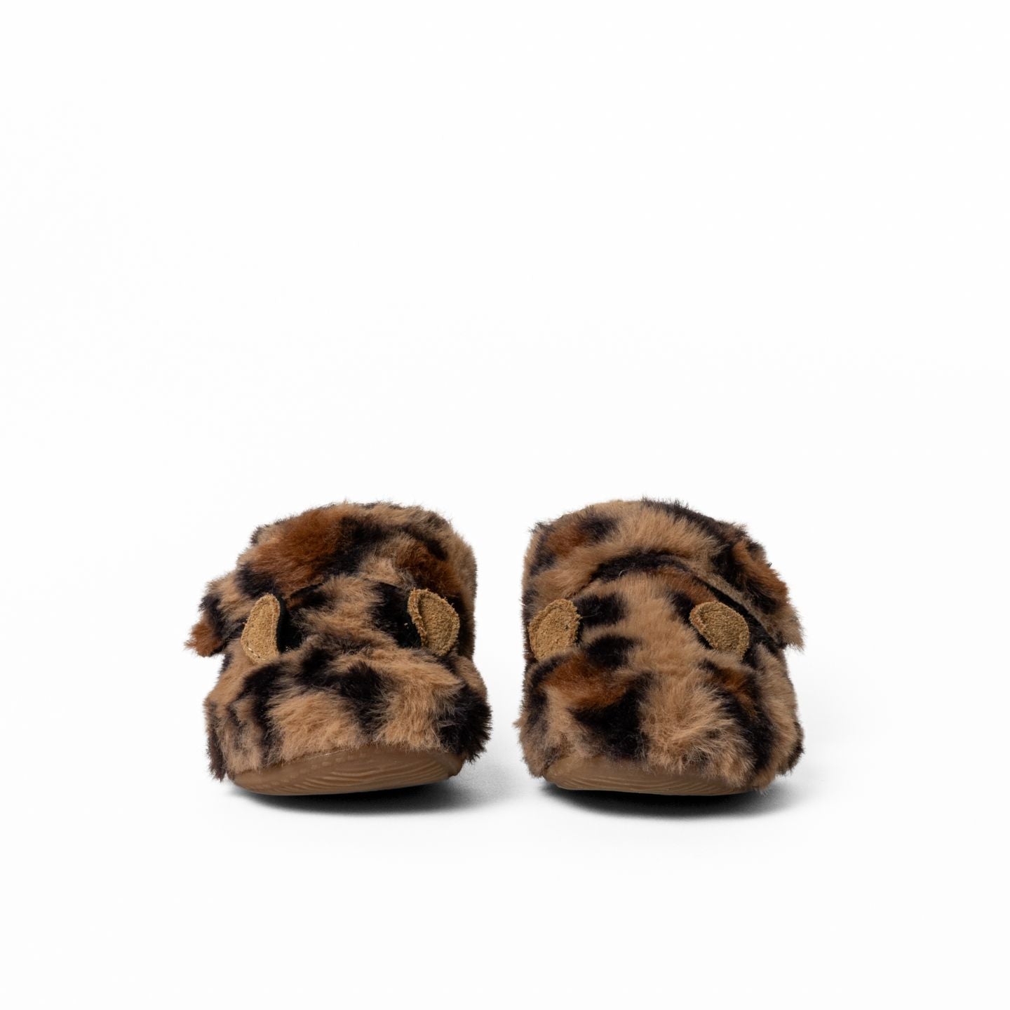 Lotte Leopard