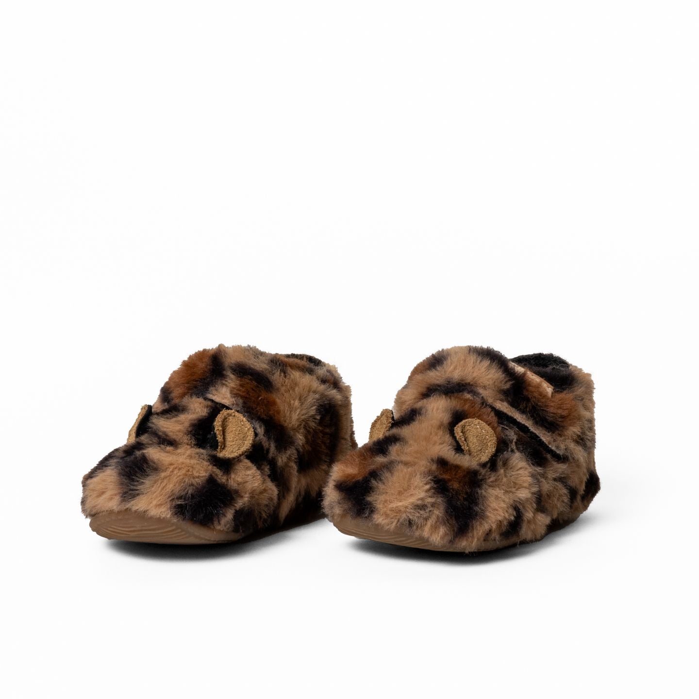 Lotte Leopard