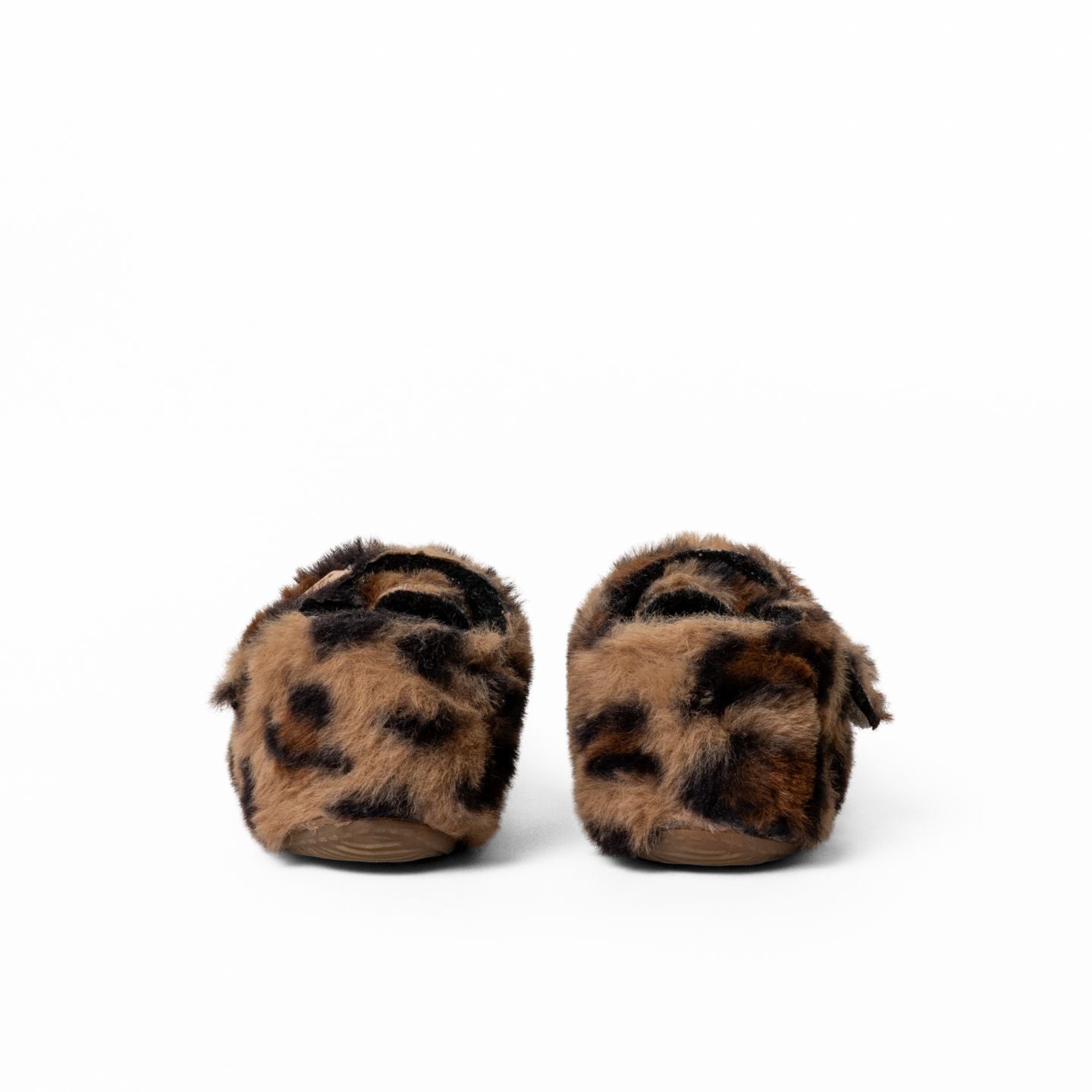 Lotte Leopard