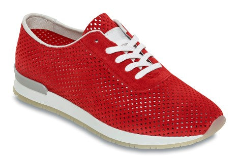 Sneaker geschnürt mit